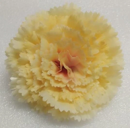 Carnation Hard Big 10 Petals 10cm